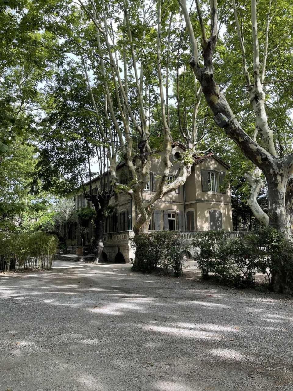 De La Treille * Avignon